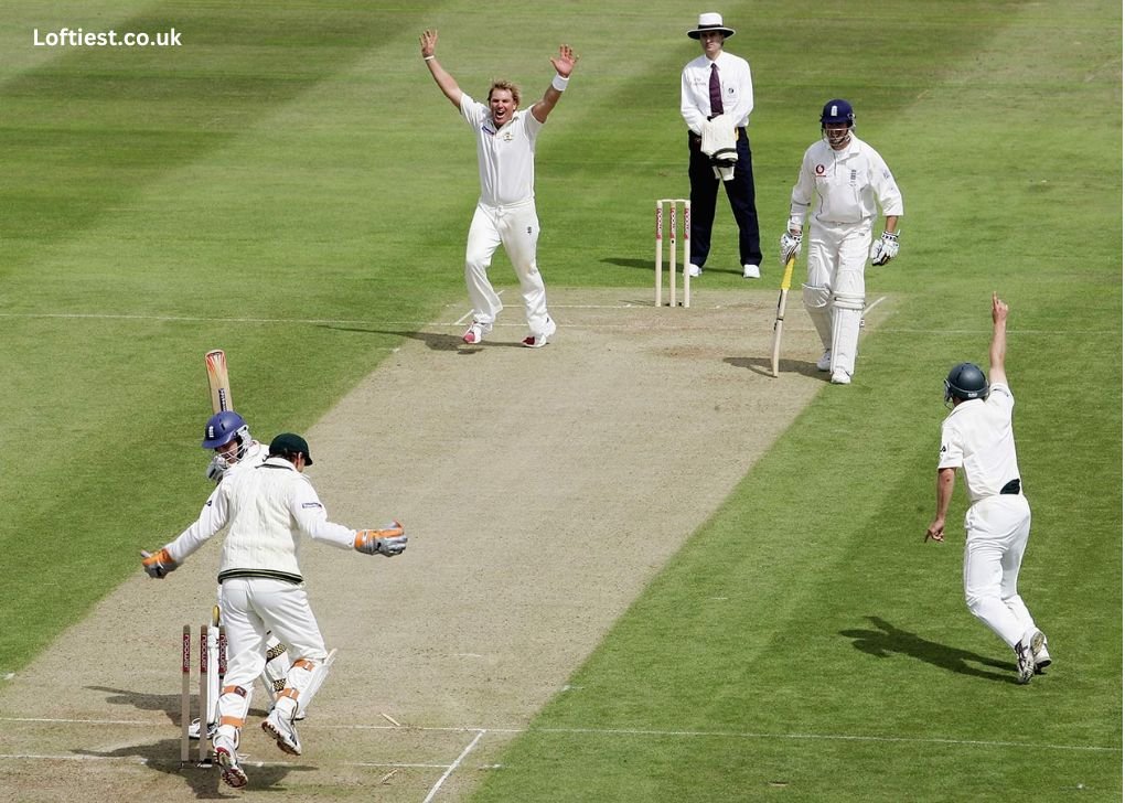 How does Touch Cricket Differ from Traditional Cricket?